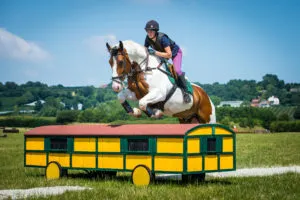 professional equestrian jump